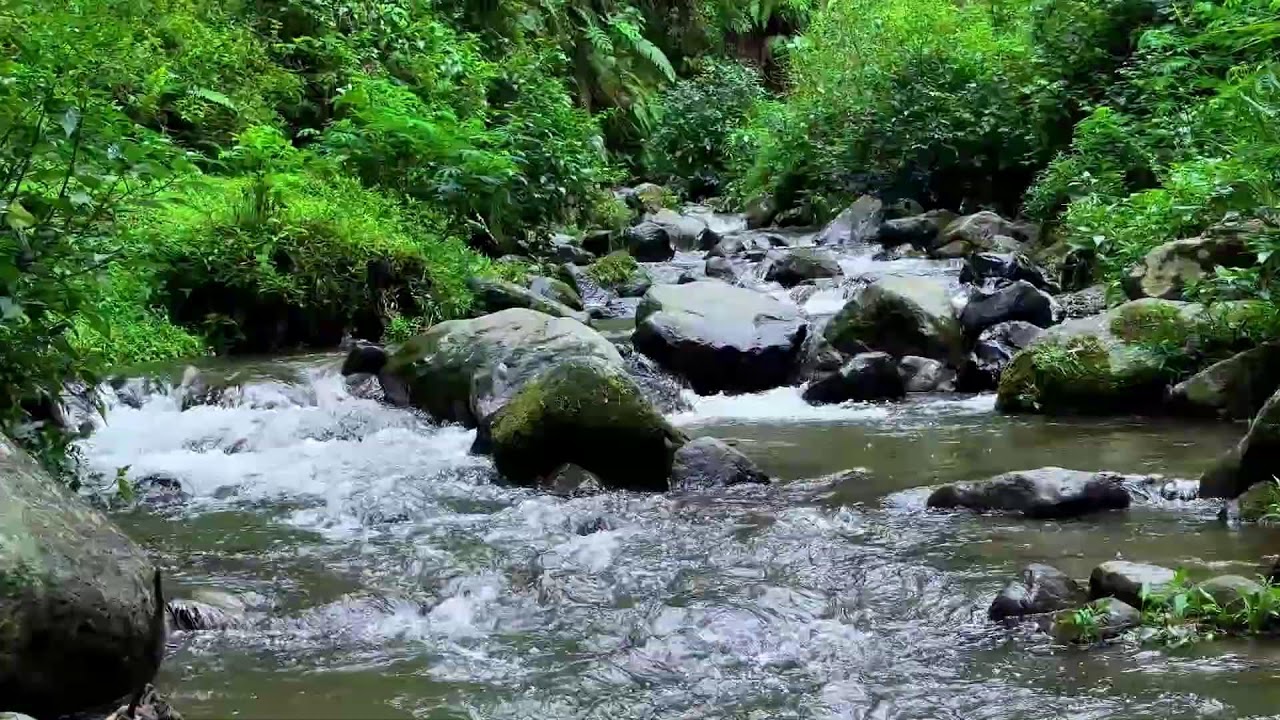 Soothing river sound near quiet flowing riverbanks guiding deeper restful deep sleep recovery
