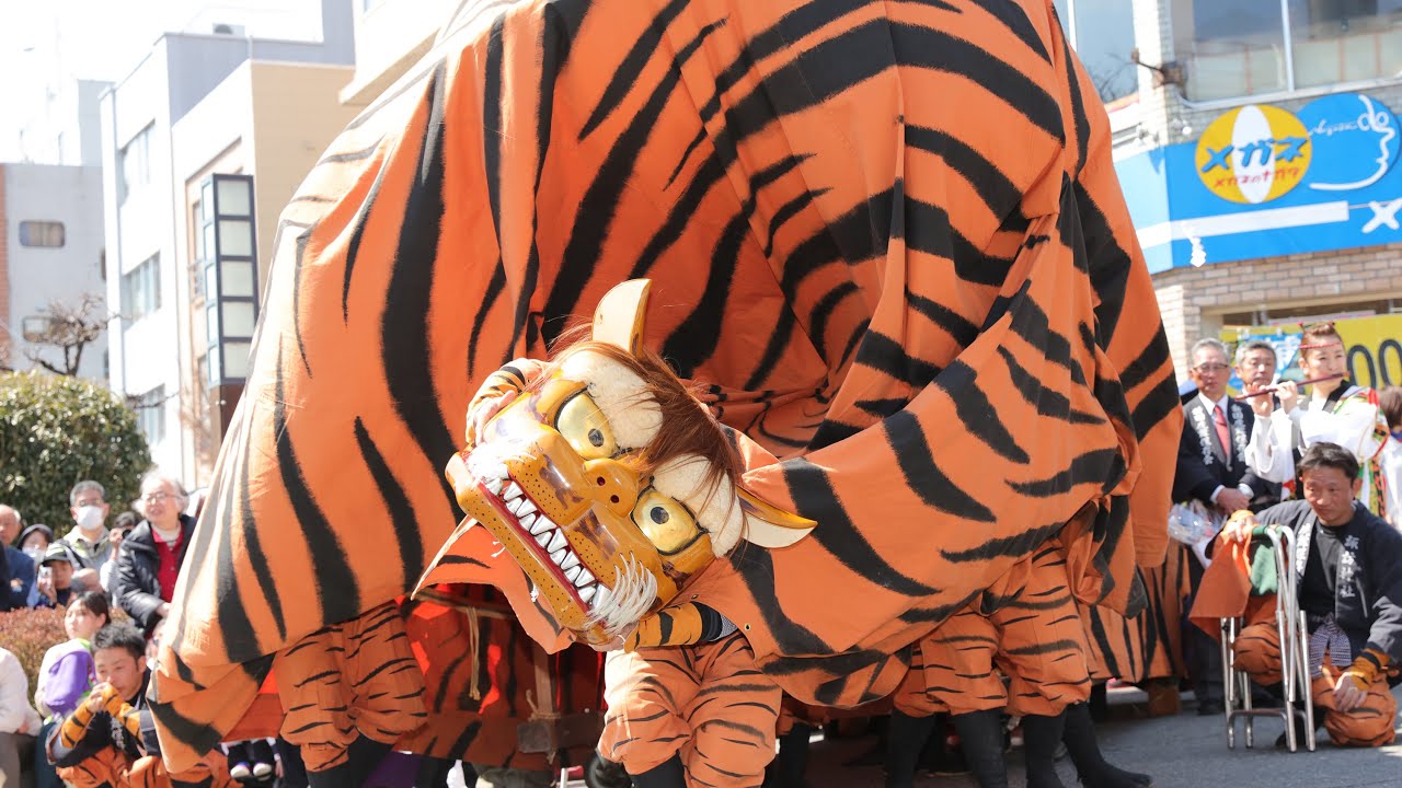 飯田お練りまつり獅子舞い紹介（新田虎舞）
