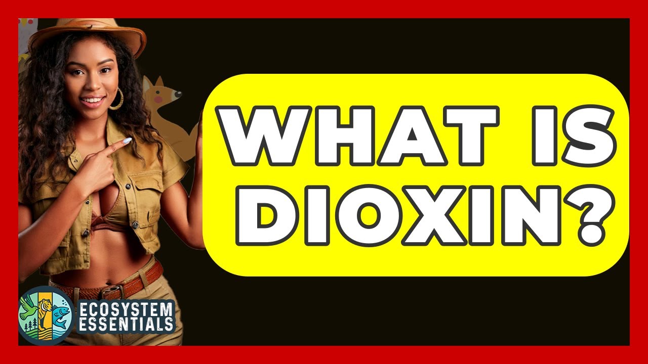 Что такое диоксин? &mdash; Основы экосистем