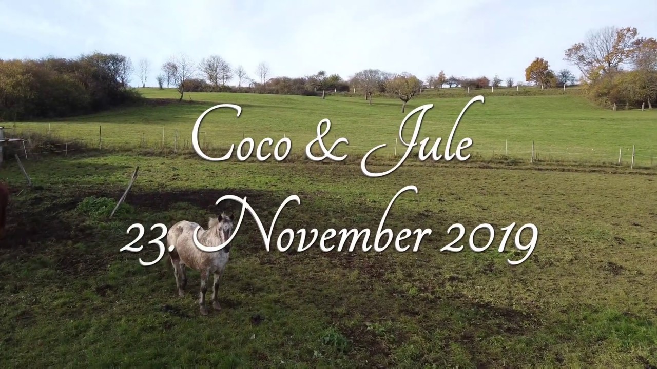 Coco & Jule - DJI Mavic Mini