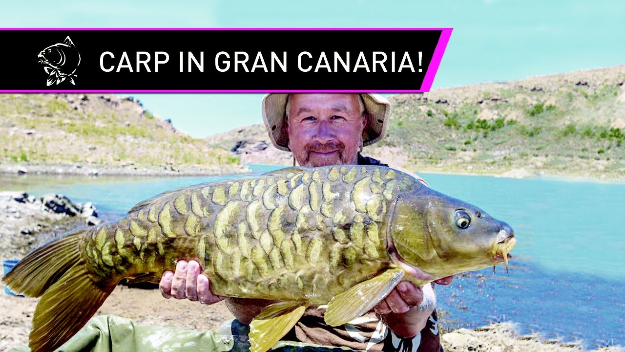 Steve Briggs Carp Fishing in the Canaries!