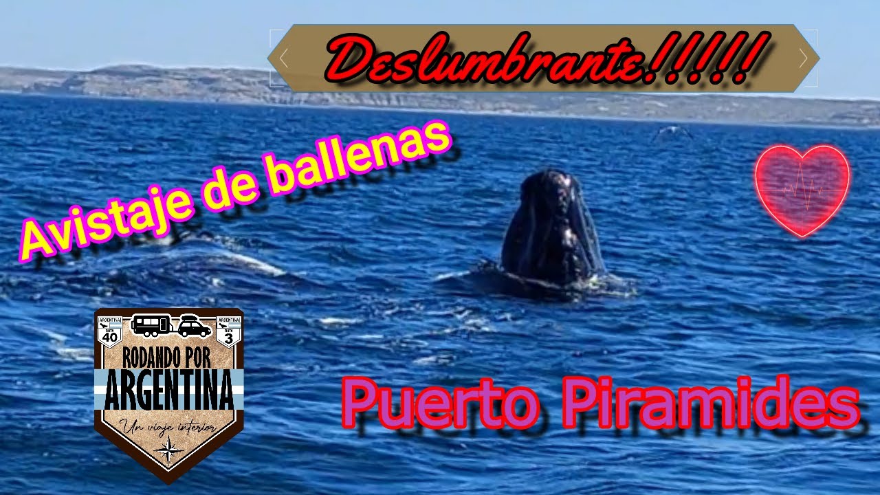 Puerto Madryn / Gaiman
