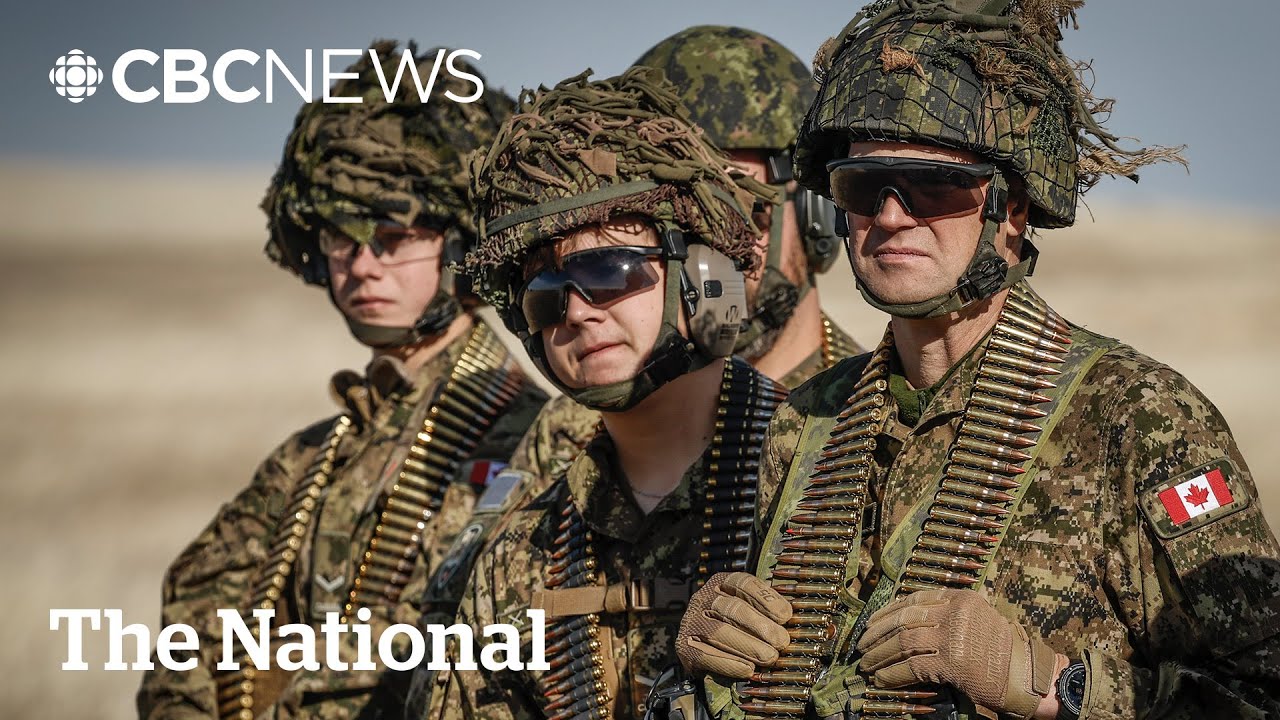 Plan to create citizens' army of 300,000 reservists met with skepticism