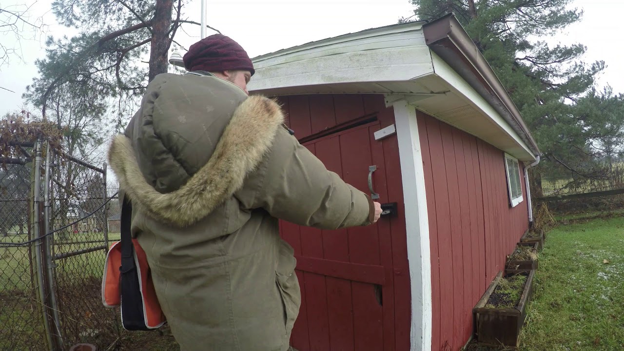 Shortwave Listening in a converted chicken coop for a radio shack.