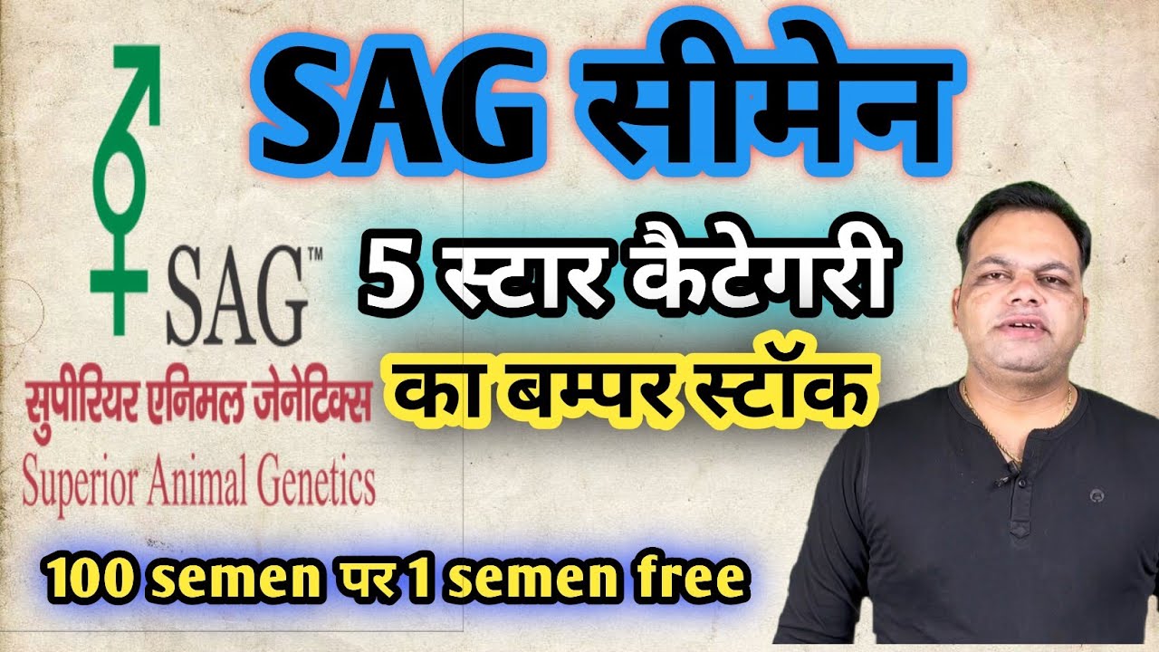 SAG सीमेन 5 स्टार कैटेगरी का बम्पर स्टॉक || Farcow NGO Bhopal || Call Now!!