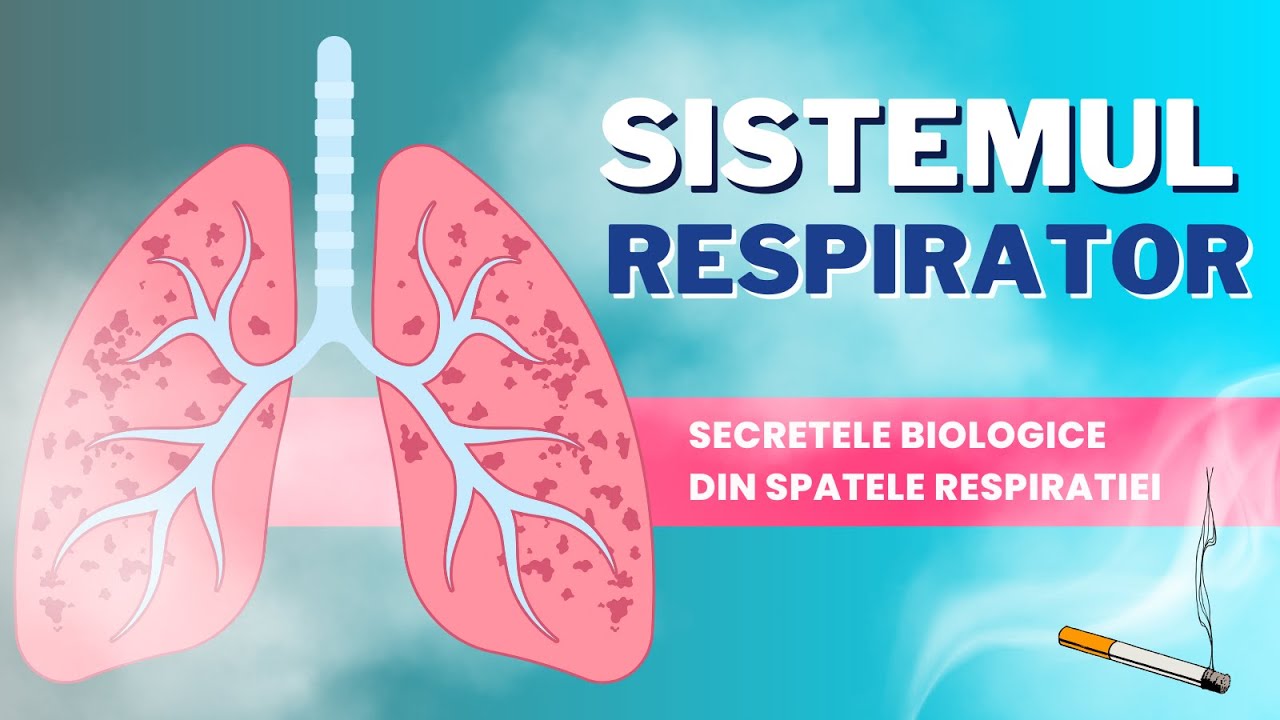 PLAMANII-pe unde trece aerul? -Sistemul Respirator Explicat Pentru Medicina ( inspir, expir)