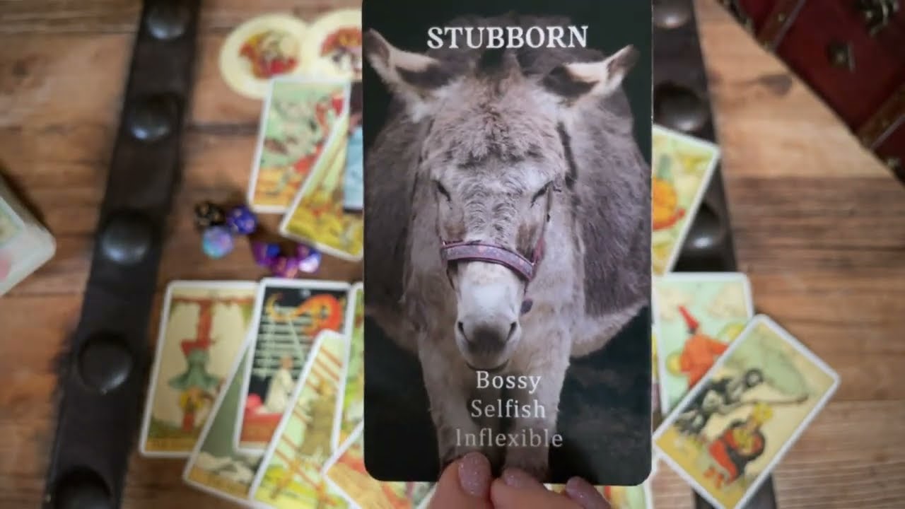 GEMINI S/He Doesn’t Even Realize How You Feel! They Got You Messed All the Way Up