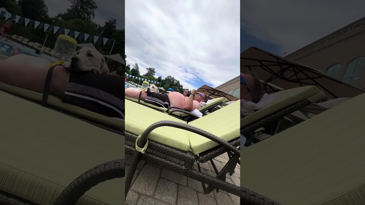 Coconut Corn Husky and the Certified Pool Dog