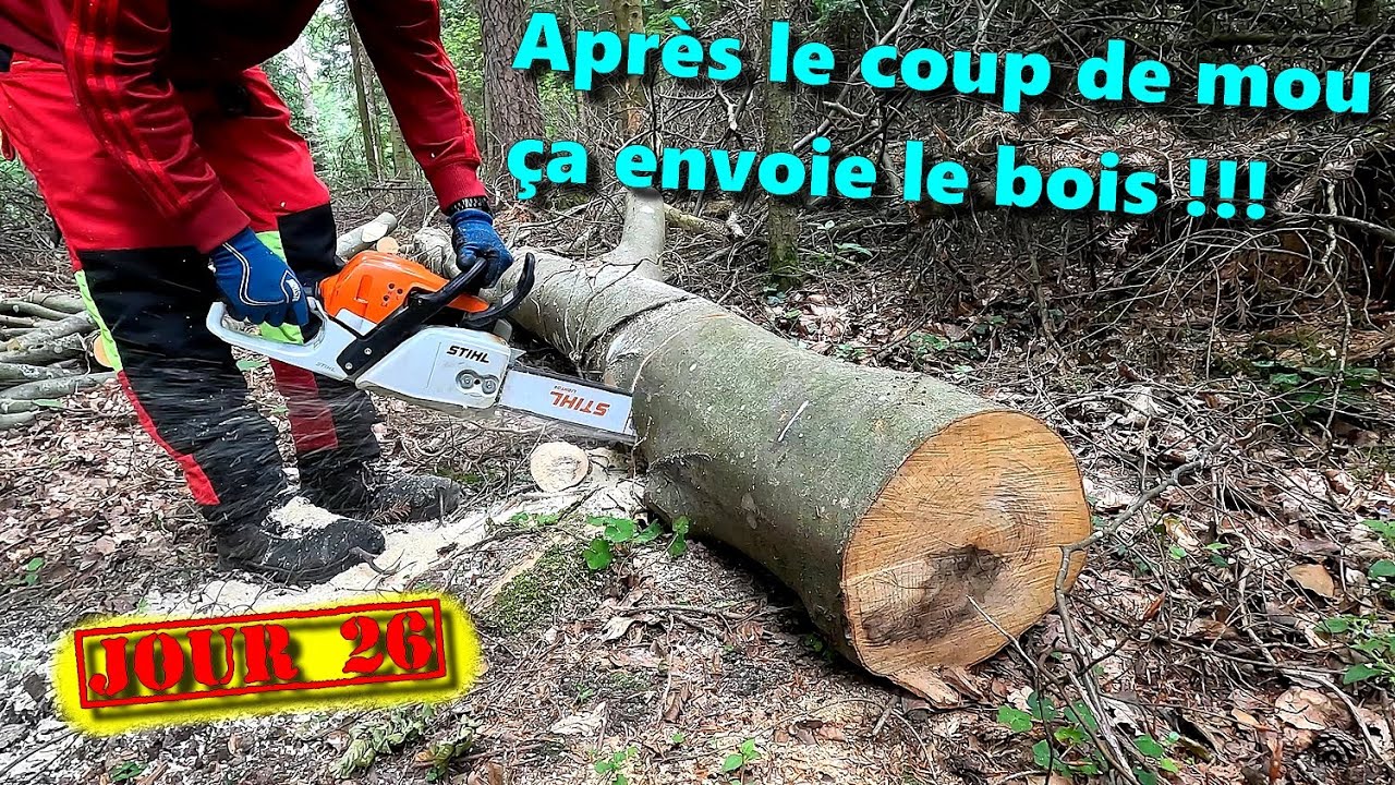 [EN MODE BUCHERON] J26- Après la flemme, j'avance bien sur le lot du chemin🌳🪓🪵🪚🌲