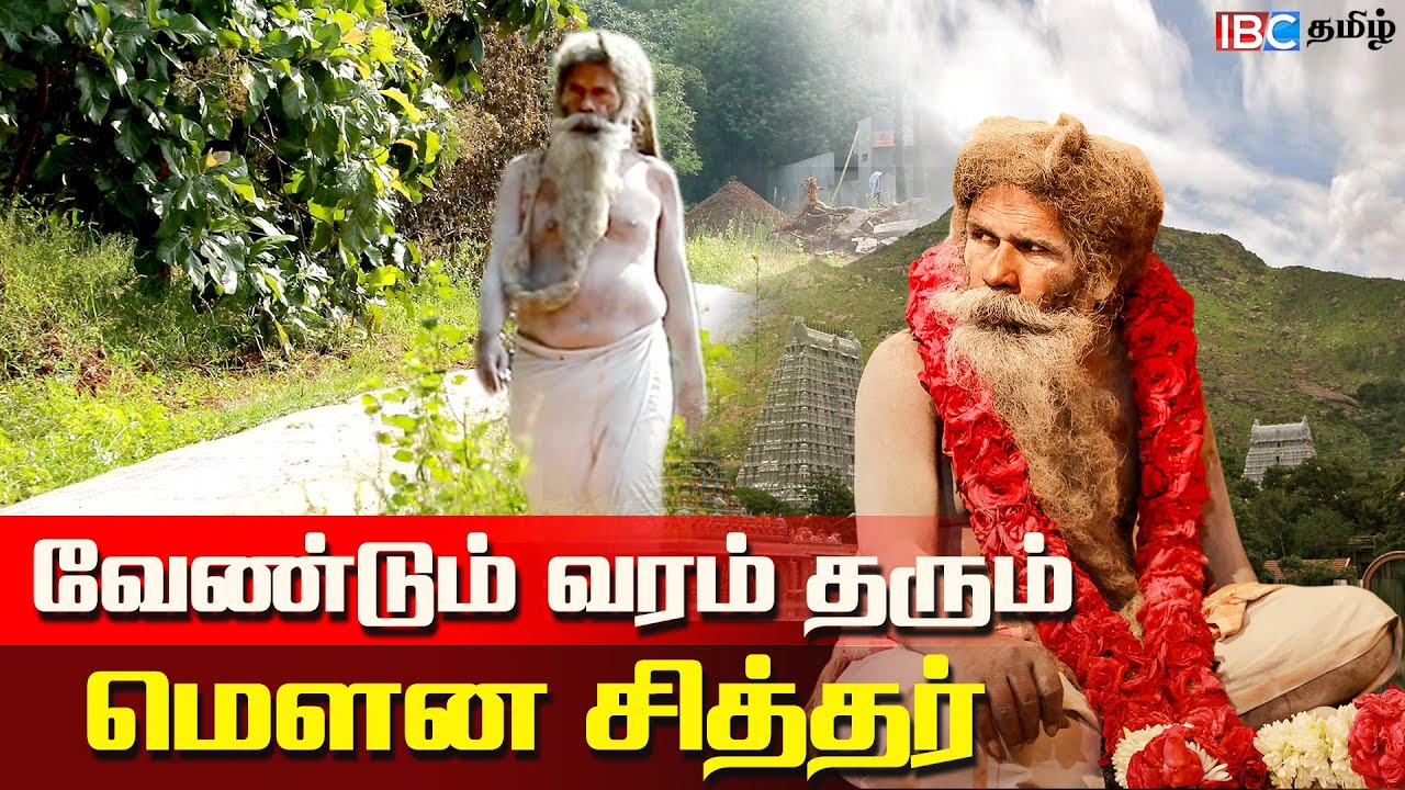 பேசாமல் மனதுக்குள் வேண்டுவதை நிறைவேற்றும் மௌன சித்தர் | Tiruvannamalai Mouna Siddhar - IBC Tamil