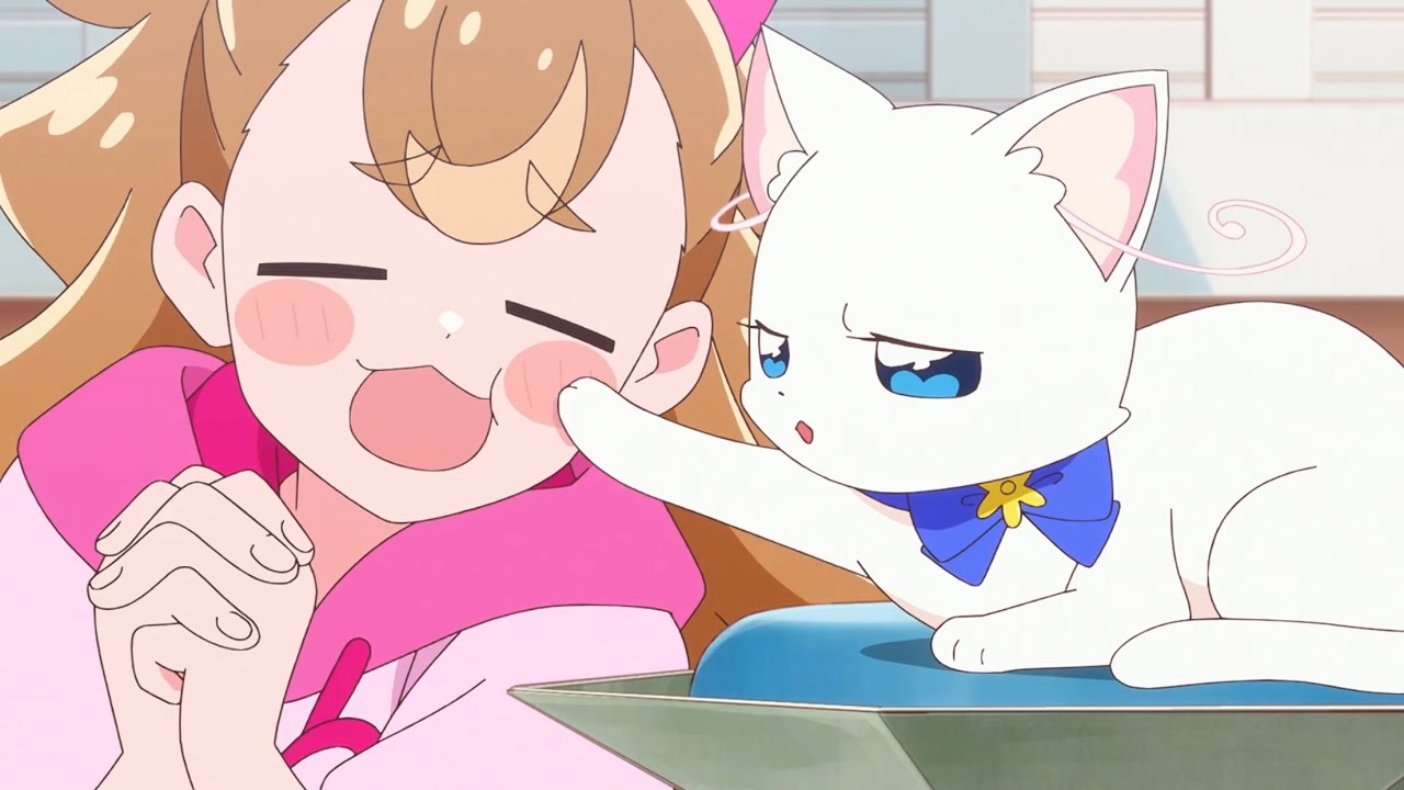 Neko Punch - Wonderful Precure meme
