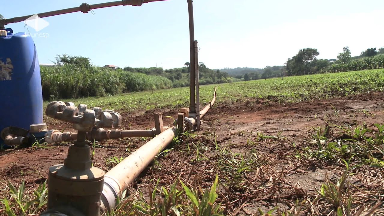 Unesp Informa - 27/06/2012 - Novas técnicas de irrigação otimizam a produção rural - Boletim