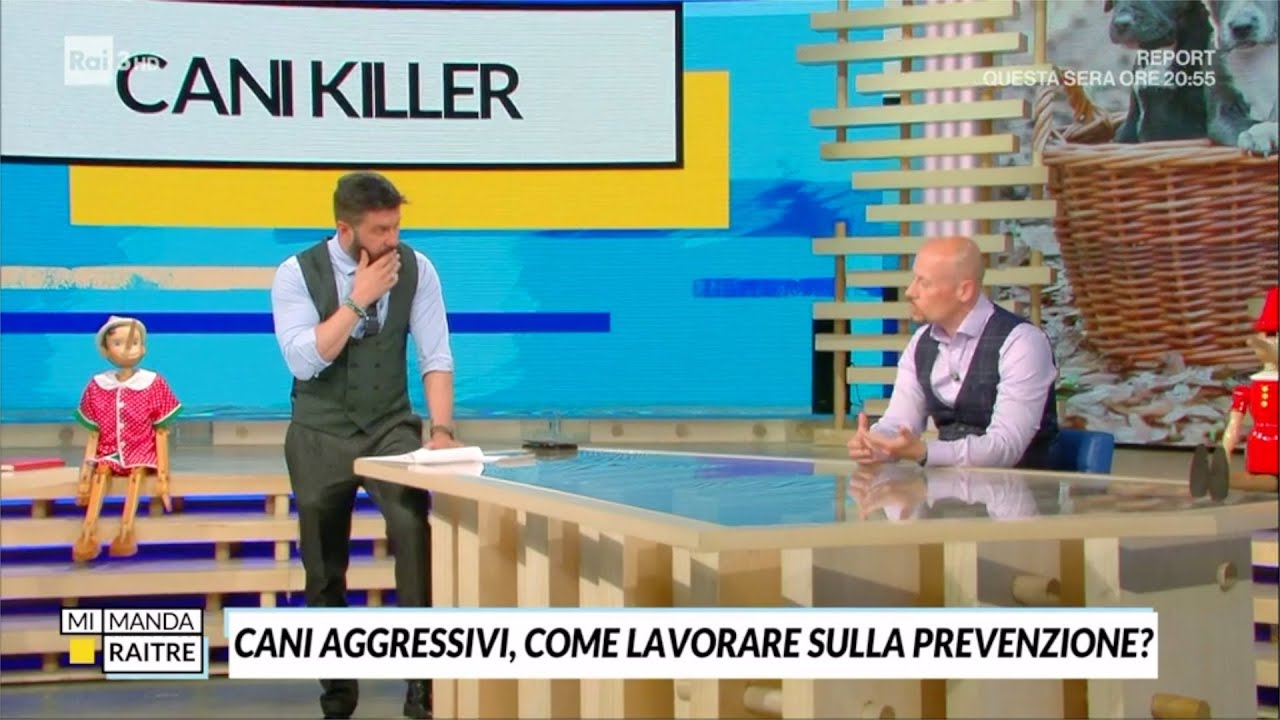 Ospite a 