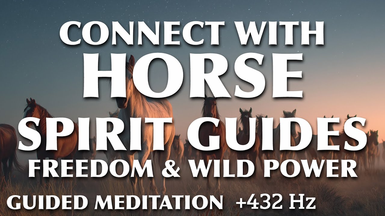 Guided Meditation | Horse Spirit Guide for Freedom & Wild Power