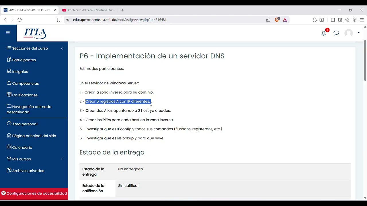 P6 -  Implementación de un servidor DNS