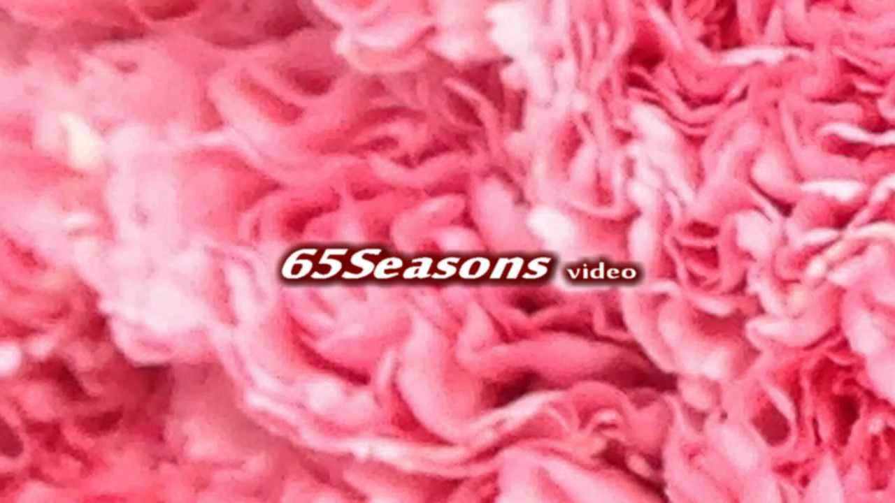 &hearts;&hearts; 