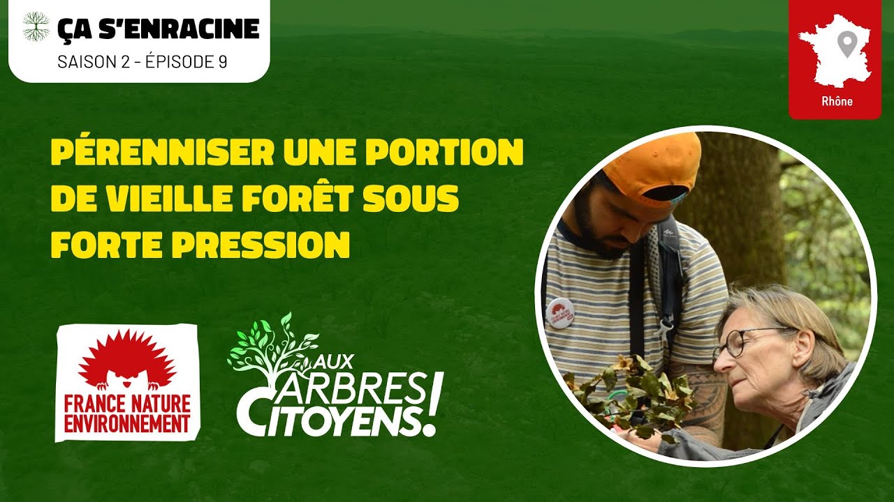 AAC - CA S'ENRACINE [EP9] - Pérenniser une portion de vieille forêt sous forte pression