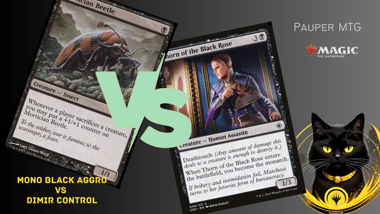 Mono Black Aggro Vs Dimir Control [Pauper Gameplay]