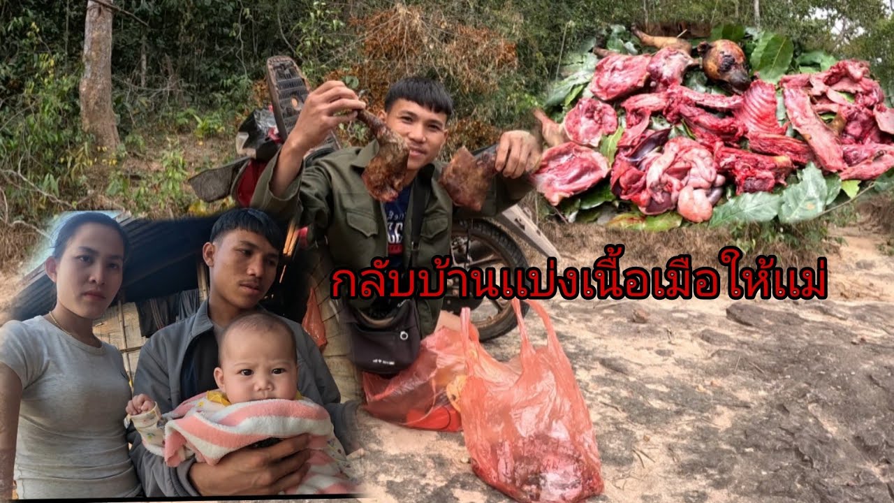 กลับจากป่าเเล้วเเบ่งเนื้อให้เเม่/ເເບ່ງຊີ້ນໃຫ້ເເມ່4 กุมภาพันธ์ ค.ศ. 2026