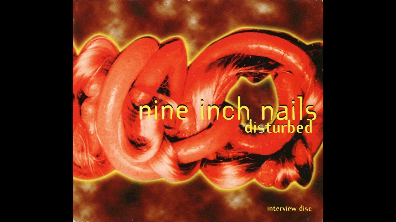 Disturbed | An Interview With Trent Reznor | Nine Inch Nails | May 1994 | United Kingdom