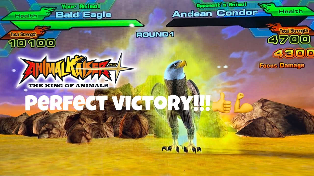 *САМОЕ СИЛЬНОЕ ЗОЛОТО ПРОТИВ СИЛЬНОГО РЕЖИМА!!!*Animal Kaiser plus 2025