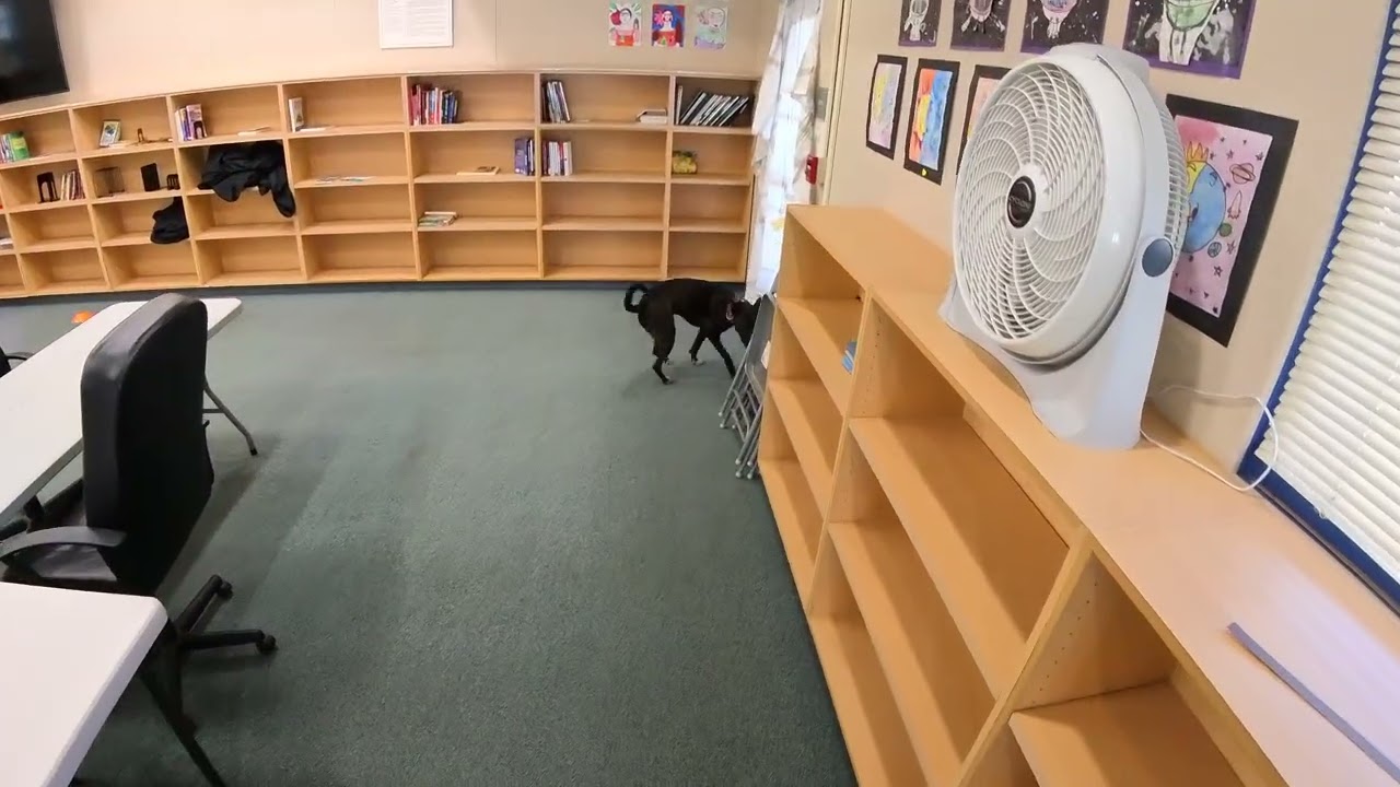 Master Interior 3