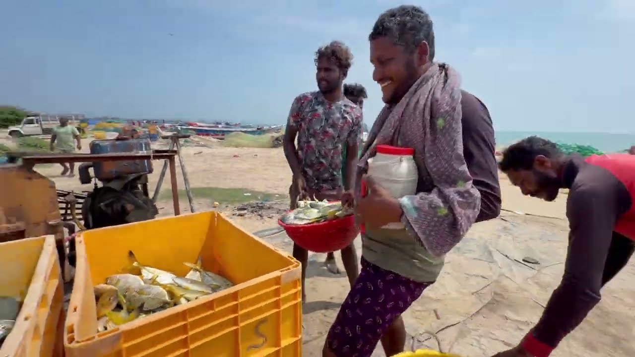 நம்ம போட்டில் வந்த பல வகையானா பாறை மீன்கள் எவ்ளோ இருக்கு 