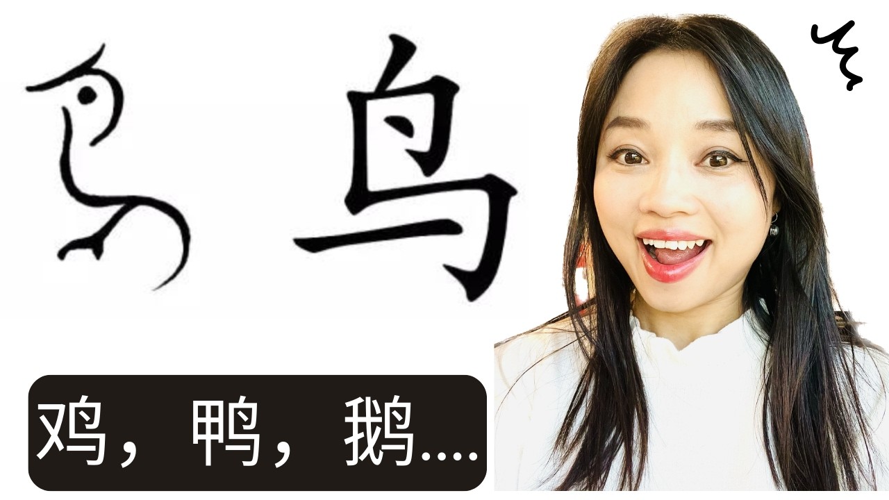 🪶 Top 25 Chinese Characters with the Bird Radical 鸟字旁 | Learn Chinese Radicals Systematically