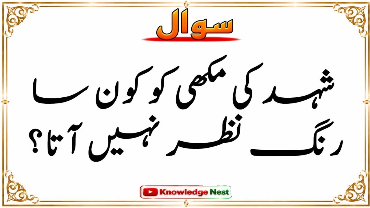 General Knowledge | Interesting Questions & Answers in urdu Part-1🤔📚❓