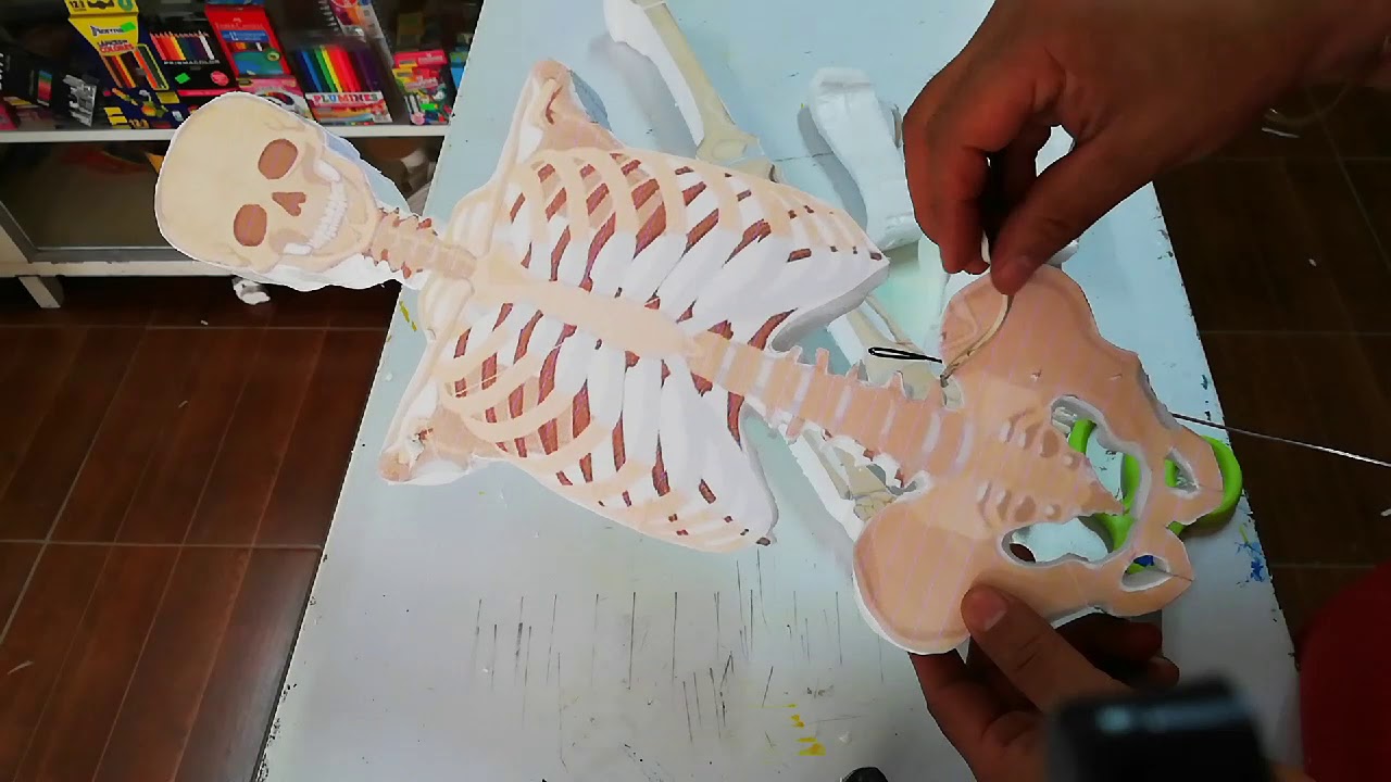 ESQUELETO ARTICULADO