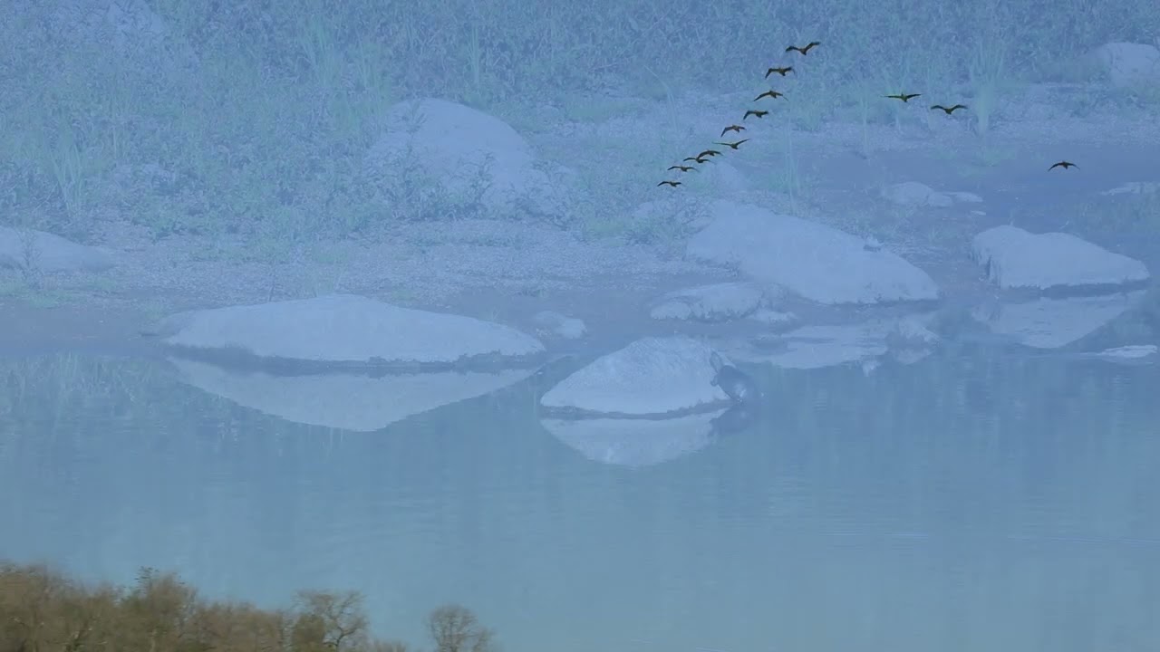 2025 08 17 Хортиця