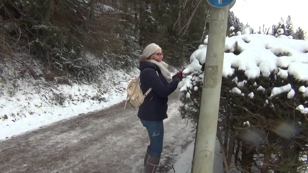 QUE VER EN LA SELVA NEGRA ALEMANIA / LAGO TITISEE