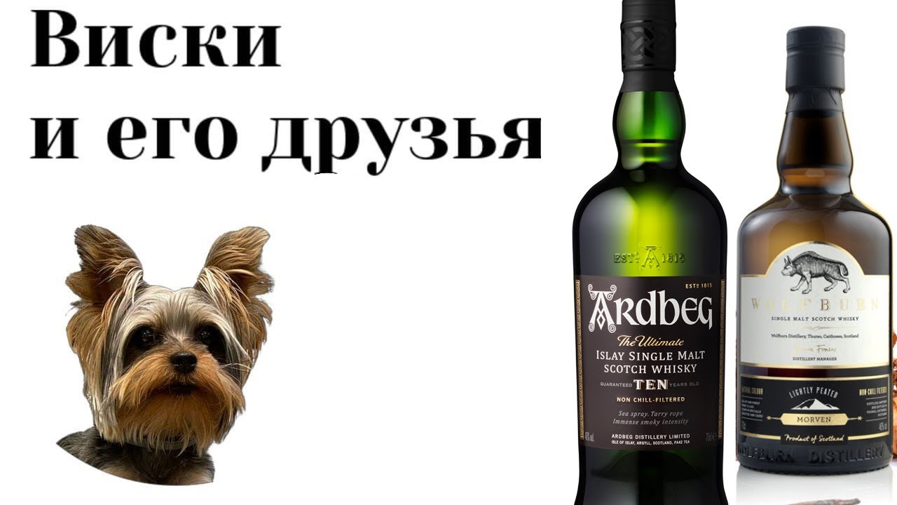 Ardbeg 10 против Wolfburn Morven.  Бой дыма: Серия 33