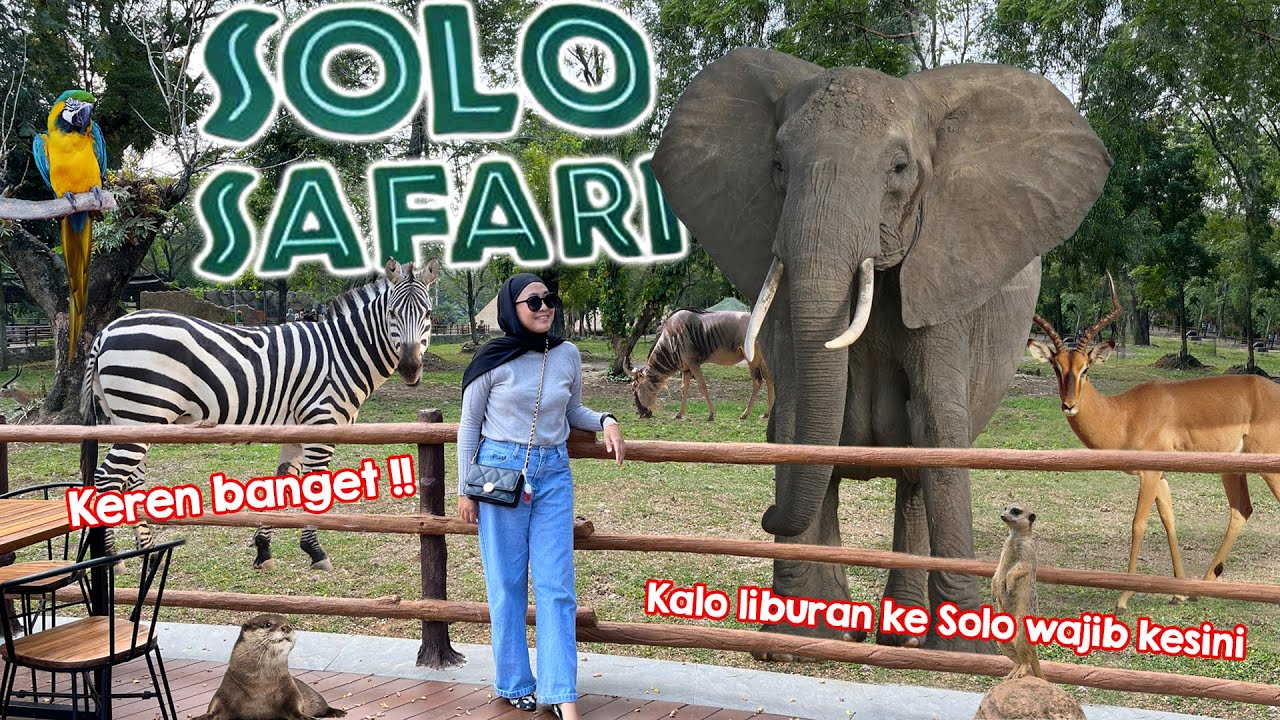 SOLO SAFARI - Animal Feeding & Review Kebun Binatang Paling Keren di Solo by TAMAN SAFARI INDONESIA