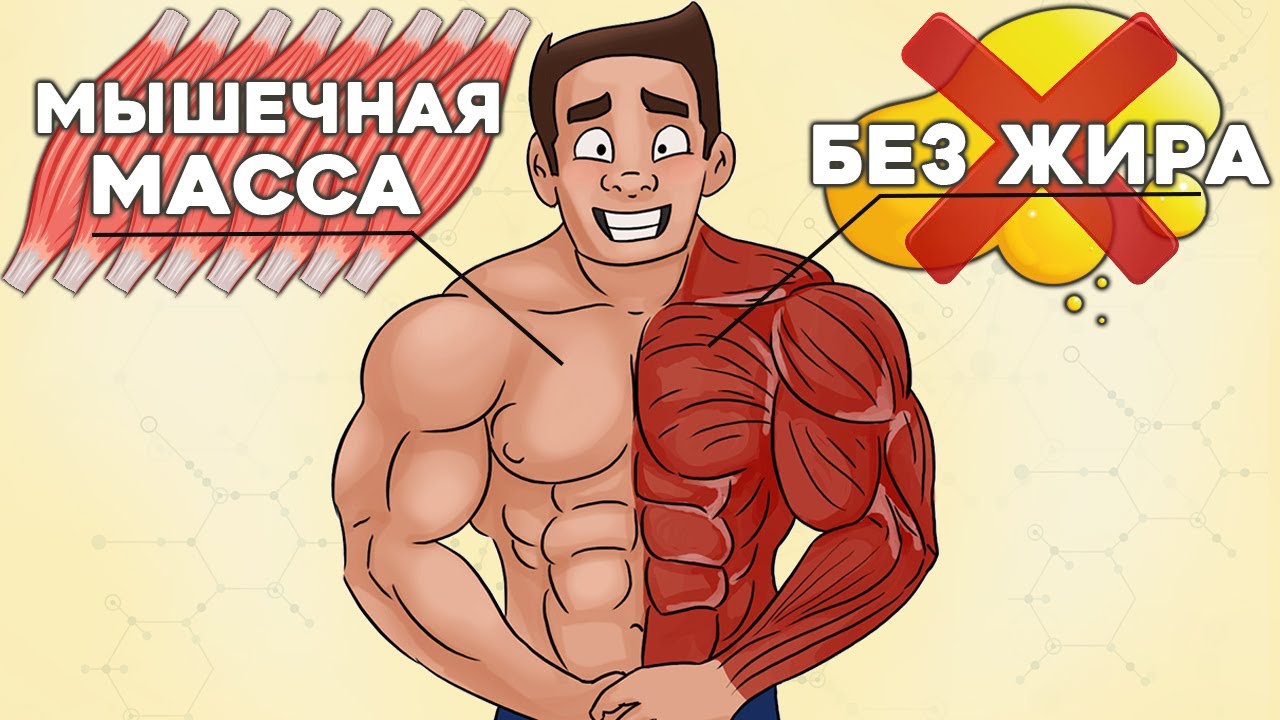 Единственный способ набрать Сухую Массу