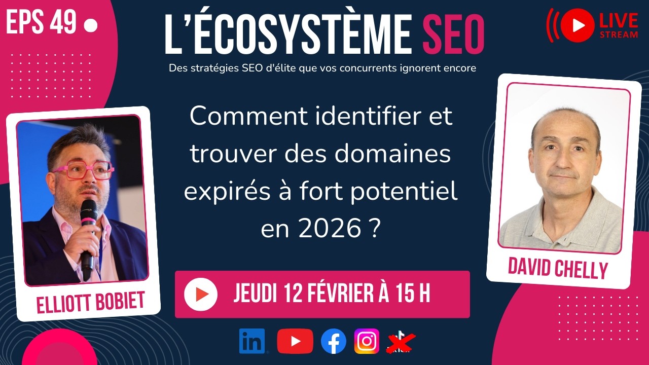 Les domaines expirés en SEO [Guide complet 2026 par David Chelly]