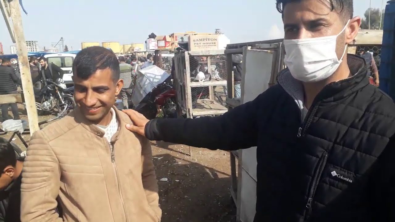 HİÇBİRYERDE BULAMIYACAĞINIZ KUŞLAR  BURADA  ADANA KUŞ PAZARI