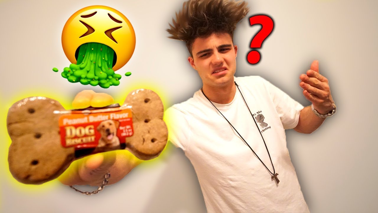CONSEGUI COMER UM BISCOITO DE CACHORRO E...