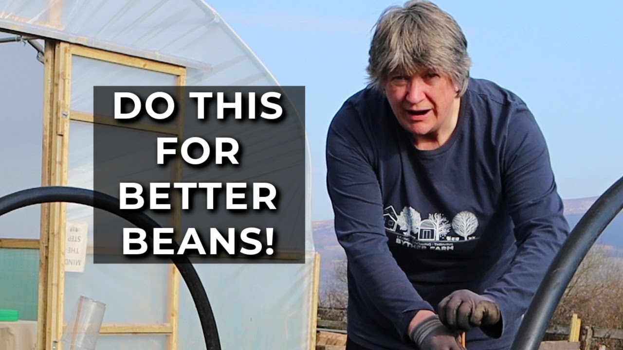 How to make a support for fava beans | Supports for broad beans