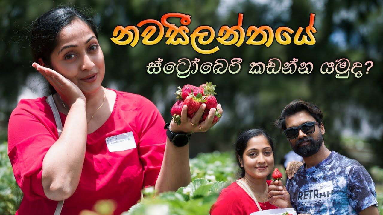 ඇති වෙනකං කාලා ගෙදරත් ගෙනියන්න 