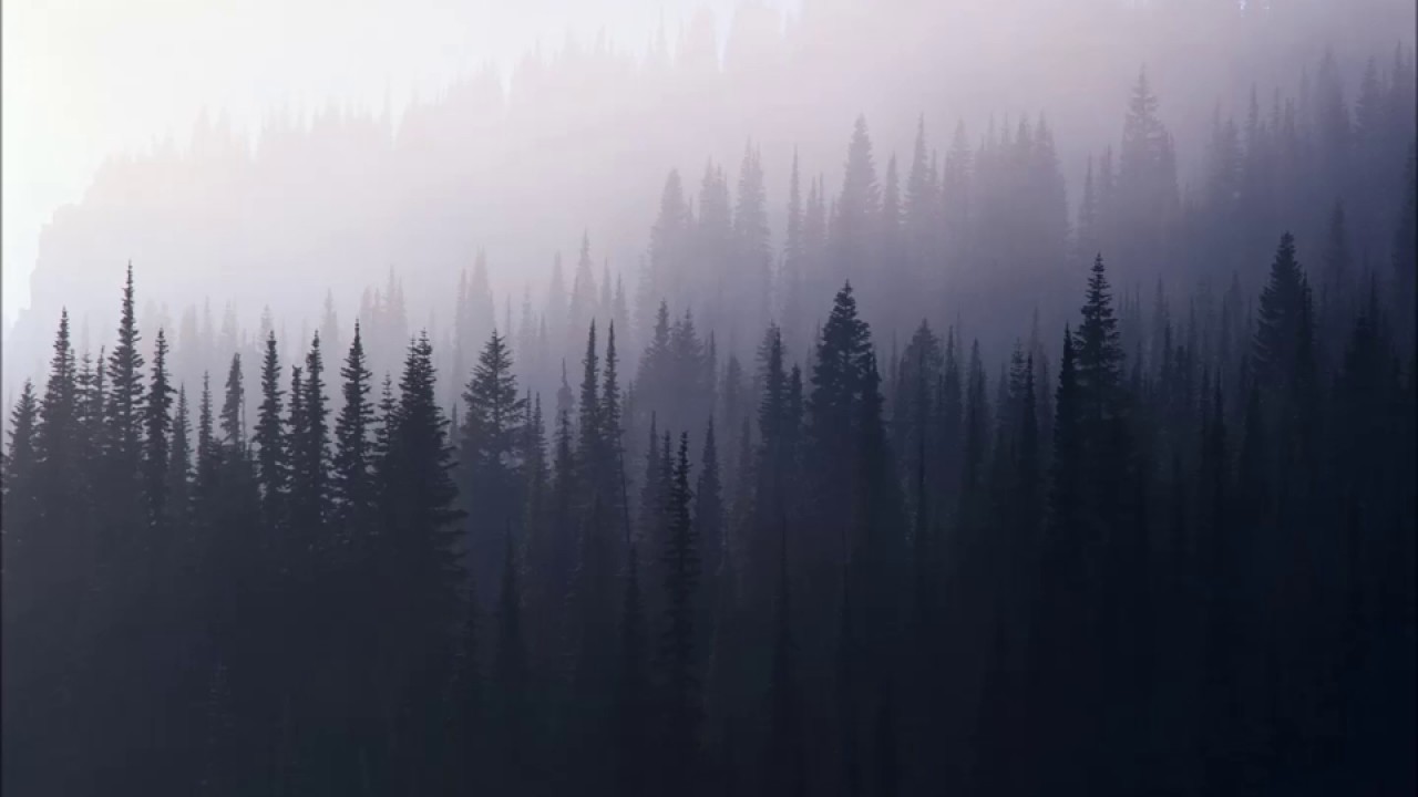 Foggy Forest - Remastered Remix (Pokemon Mystery Dungeon: Explorers of Time/Darkness/Sky)