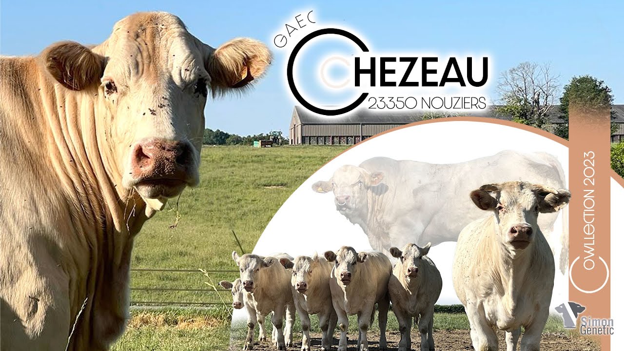 GAEC CHEZEAU - Cowllection 2023