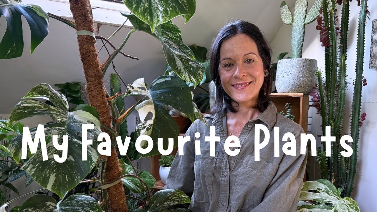 My Favourite Plants | My Top 8 Favourite Plants And Why 🌱