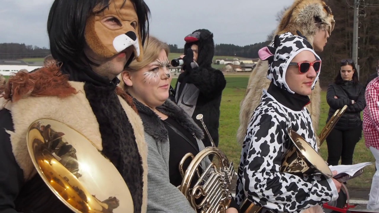 Faschingsumzug Eggelsberg 2017