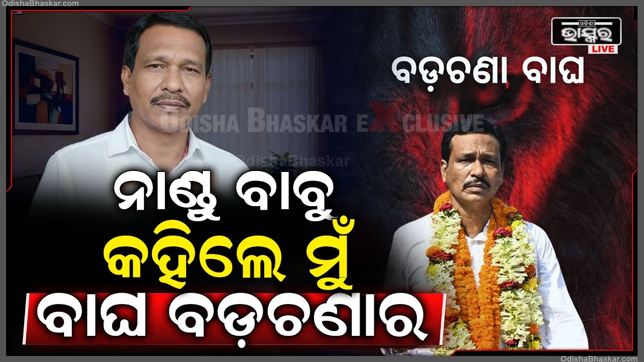 ନାଣ୍ଡୁ ବାବୁ କହିଲେ ମୁଁ ବଡ଼ଚଣାର ବାଘ, ସାଇ ଶୁଣି ଡ଼ରିଗଲେ କି Nandu Babu Badachana Tiger