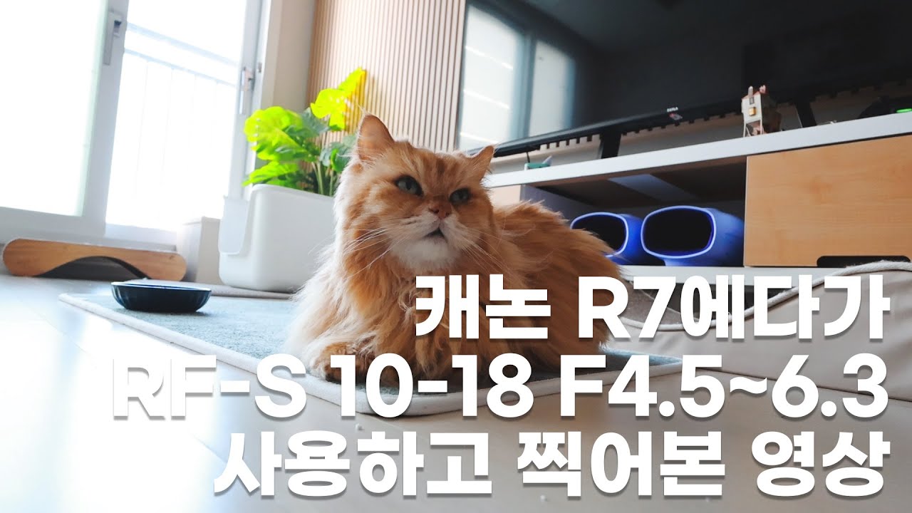 [Canon R7 + RF-S 10-18 F4.5~6.3] 광각 렌즈 땡겨서 사고나서 돌아댕기는 영상
