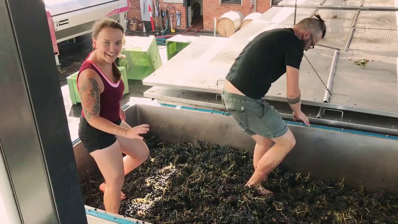2017 Rochford Vintage - Grape Stomping