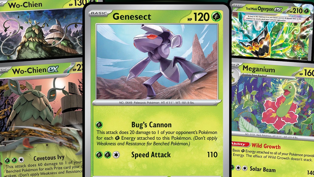 Is Turbo Meganium Finally Good Enough?