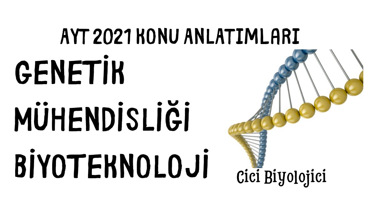 Genetik Mühendisliği ve Biyoteknoloji
