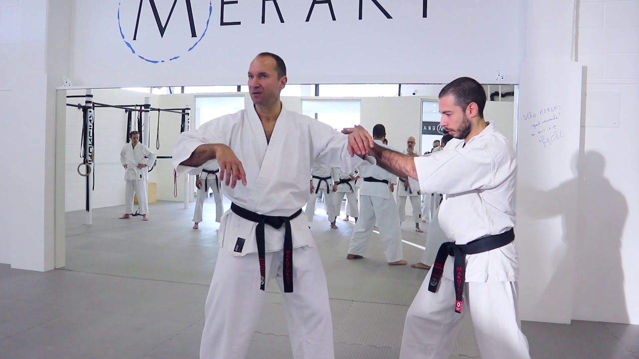 IL  KATA - Connessione Radicamento e Struttura nel KARATE / M.Fulvio Pascut